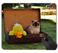 Alfombrillas de ratón, Linda Alfombrilla de ratón American Shorthair Cat con Borde de Bloqueo, Alfombrilla de ratón para Equipaje con Borde Cosido