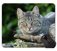 Alfombrillas de ratón, linda alfombrilla de ratón American Shorthair Cat personalizada, alfombrilla de ratón Cat In The Garden con borde cosido