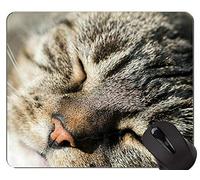Alfombrillas de ratón, Linda Alfombrilla de ratón American Shorthair Cat Personalizada, Alfombrilla de ratón Cat con Borde Cosido