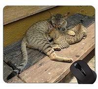 Alfombrillas de ratón, Lindas Alfombrillas de ratón de Gato Americano de Pelo Corto Personalizadas, Alfombrilla de ratón de Gato de Bengala con Borde Cosido