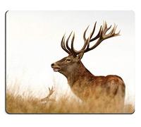 Alfombrillas de ratón Macho Cervus elaphus venado Ciervo Rojo en la Temporada de apareamiento por Mat Custom Desktop Desktop Gaming Mouse Pad (Alfombrilla/Alfombrilla para ratón)