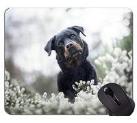 Alfombrillas de ratón Mousemat, perro de mascota Rottweiler - Bordes cosidos