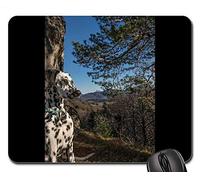 Alfombrillas de ratón para Juegos, Alfombrilla de ratón, Dalmatians Mountain Nockstein Hausberg Salzburg