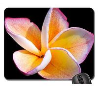 Alfombrillas de ratón para Juegos, Alfombrilla de ratón, Flor Ornamental Frangipandi Blossom Flower