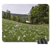 Alfombrillas de ratón para Juegos, Alfombrilla de ratón, Flores de Flores de la Pradera de Nature Field Blooming Blossoms