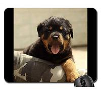 Alfombrillas de ratón para Juegos, Alfombrilla de ratón, Fondo de Perrito Rottweiler Puppy 7
