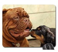 Alfombrillas de ratón para Juegos, Alfombrilla de ratón, Fondo de Perro Cachorro Rottweiler 8