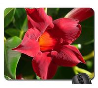 Alfombrillas de ratón para Juegos, Alfombrilla de ratón, Forma de Trompeta Mandevilla Blossom Bloom Naranja Rojo