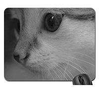 Alfombrillas de ratón para Juegos, Alfombrilla de ratón, Gatito y Amor de Mascotas de Gato Amor para Mascotas