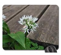 Alfombrillas de ratón para Juegos, Alfombrilla de ratón, influjo de ajo, inflorescencia, Flor, Blanco