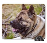 Alfombrillas de ratón para Juegos, Alfombrilla de ratón, Perro Akita American Vacation Outdoors Nature