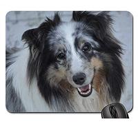 Alfombrillas de ratón para Juegos, Alfombrilla de ratón, Perro Shetland Sheepdog Dog Young Female Nature
