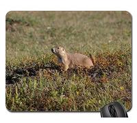 Alfombrillas de ratón para Juegos, Alfombrilla de ratón, Prairie Dog Wildlife Nature Wilderness Small Wild 1