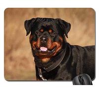 Alfombrillas de ratón para Juegos, Alfombrilla de ratón, Rottweiler Animal Winter Dog Nature Outdoor