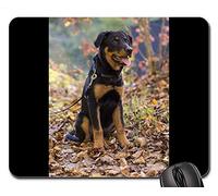 Alfombrillas de ratón para Juegos, Alfombrilla de ratón, Rottweiler Dog Pet Animal Hundeportrait Snout 2