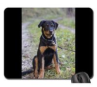 Alfombrillas de ratón para Juegos, Alfombrilla de ratón, Rottweiler Perro Mascota Animal Hundeportrait Hocico