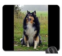 Alfombrillas de ratón para Juegos, Alfombrilla de ratón, Scottish Collie World Animal Day Dog Nature