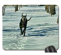 Alfombrillas de ratón para Juegos, Alfombrilla de ratón, Snow Winter Nature Dog Cold Winter Day Run