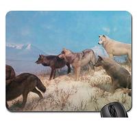 Alfombrillas de ratón para Juegos, Alfombrilla de ratón, Wolves Wolf Pack Wildlife Wild Animal Predator