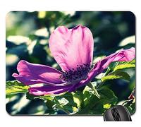 Alfombrillas de ratón para Juegos, Alfombrilla para ratón, Wild Rose Blossom Bloom Plant Rose Family Bush