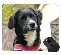 Alfombrillas de ratón para juegos Puppy Dog, Hay Bale Office Mouse Pad