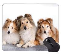 Alfombrillas de ratón para juegos Puppy Dog, Shetland Sheepdog Alfombrillas de ratón para juegos rectangulares personalizadas