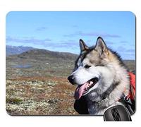 Alfombrillas de ratón para Juegos, tapete para el ratón, Alaskan Malamute Climbed Sled Dog