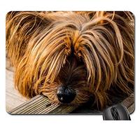 Alfombrillas De Ratón - Perro Yorkshire Terrier Perro Pequeño