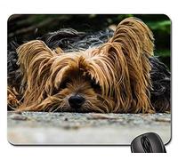 Alfombrillas De Ratón - Perro Yorkshire Terrier Perro Perezoso