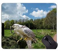 Alfombrillas de ratón personalizadas, Black Eagle Cute Animal Themes Alfombrilla de goma