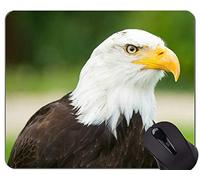 Alfombrillas de ratón personalizadas, Eagle In The Wild Themes Alfombrilla de goma