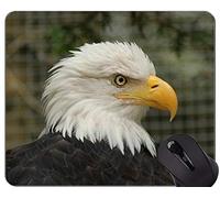 Alfombrillas de ratón personalizadas, Eagle In The Wild Themes Alfombrilla de goma