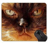 Alfombrillas de ratón, Shorthair Cat Animal Pet Looking Alfombrillas de ratón Personalizadas, British Shorthair Alfombrilla de ratón con Borde Cosido