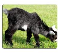 Alfombrillas de ratón Un Poco de Cabra de bebé Blanco y Negro está Fuera de Comer Hierba en la Granja Alfombrilla de ráton de Escritorio Personalizado para computadora portátil Alfombrilla de ratón