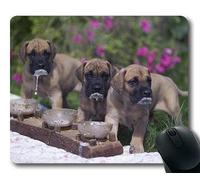 Alfombrillas para Juegos, Perro Great Dane Boxer-Dog, Costura de precisión, Alfombrilla de ratón Duradera