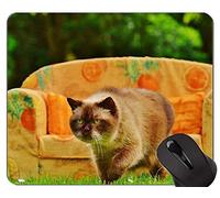 Alfombrillas para ratón, Alfombrilla Antideslizante para Gatos American Shorthair Cat, Alfombrilla para sofá con Borde Cosido