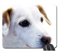 Alfombrillas para ratón - Familia de Amor para Perros, Amigos, Lealtad, Amor