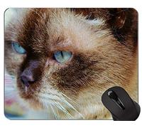Alfombrillas para ratón, Gato naranja Alfombrilla de ratón para juegos Cute Little Red Kitten Personalizada, Alfombrilla para gato con borde cosido