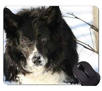 Alfombrillas para ratón Pastor alemán Amante de los Perros Divertidos, Shetland Sheepdog Blue Merle Office Mouse Pad
