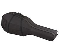 Alfred Stingl by Höfner AS-90/016-B4/4 Bass Case