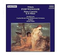 Alfred Walter FURTWANGLER: Piano Concerto in B Minor (CD) (Importación USA)