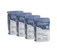 Algaplay Michelangelo Moulding Alginate Slow Setting (1800 g.)