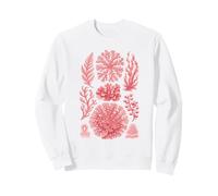 Algas Rojas inspiradas en Ernst Haeckel Biología Marina de Algas Marinas Sudadera