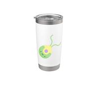 Algas verdes Chlamydomonas Vaso térmico de acero inoxidable de doble pared