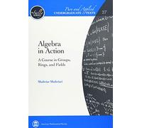 Algebra in Action: A Course in Groups, Rings, and Fields (Pure and Applied Undergraduate Texts)