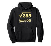 Álgebra matemática de raíz Cuadrada de 17 años 289 años 2009 Sudadera con Capucha
