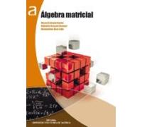 Álgebra Matricial (ebook)