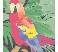 Algernon Cadwallader - Parrot Flies [VINYL] [Vinilo]