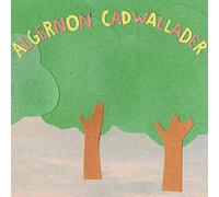 Algernon Cadwallader - Some Kind Of Cadwallader
