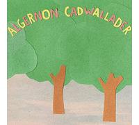 Algernon Cadwallader - Some Kind Of Cadwallader [VINYL] [Vinilo]
